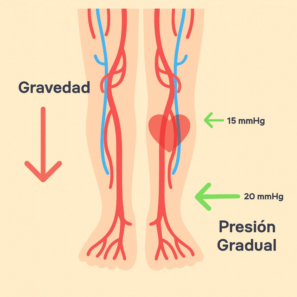 S-CALCETASCOMPRESION